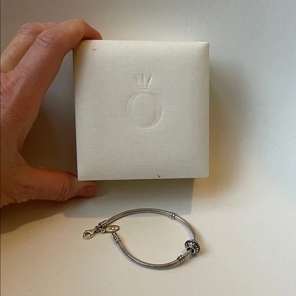 Pandora Silver Bracelet with Charms - Picture 4 of 5